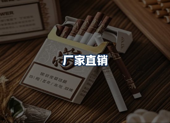 专业团队办公环境